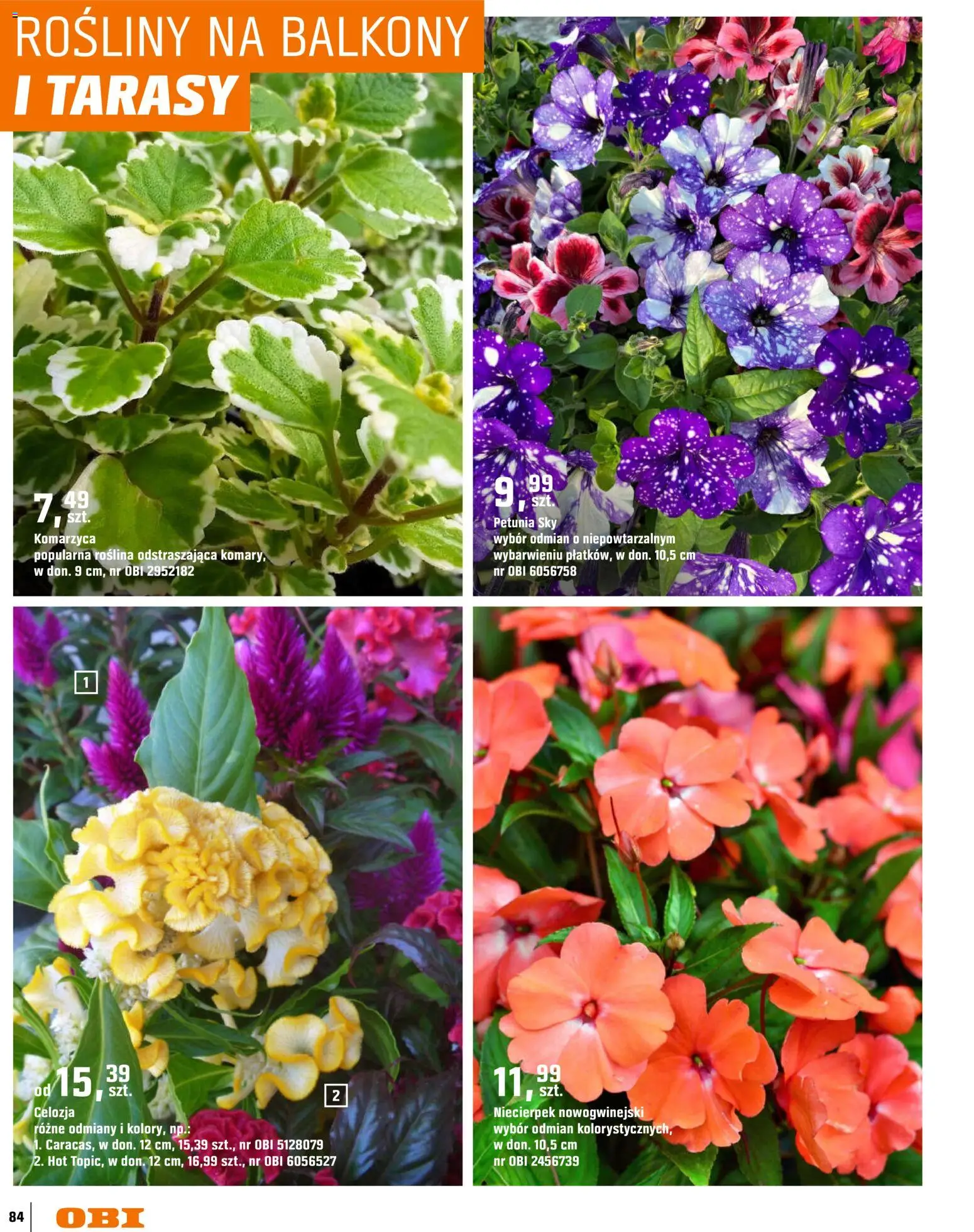OBI gazetka - Ogród od 11.03.2026 | Strona: 84 | Produkty: Rosliny