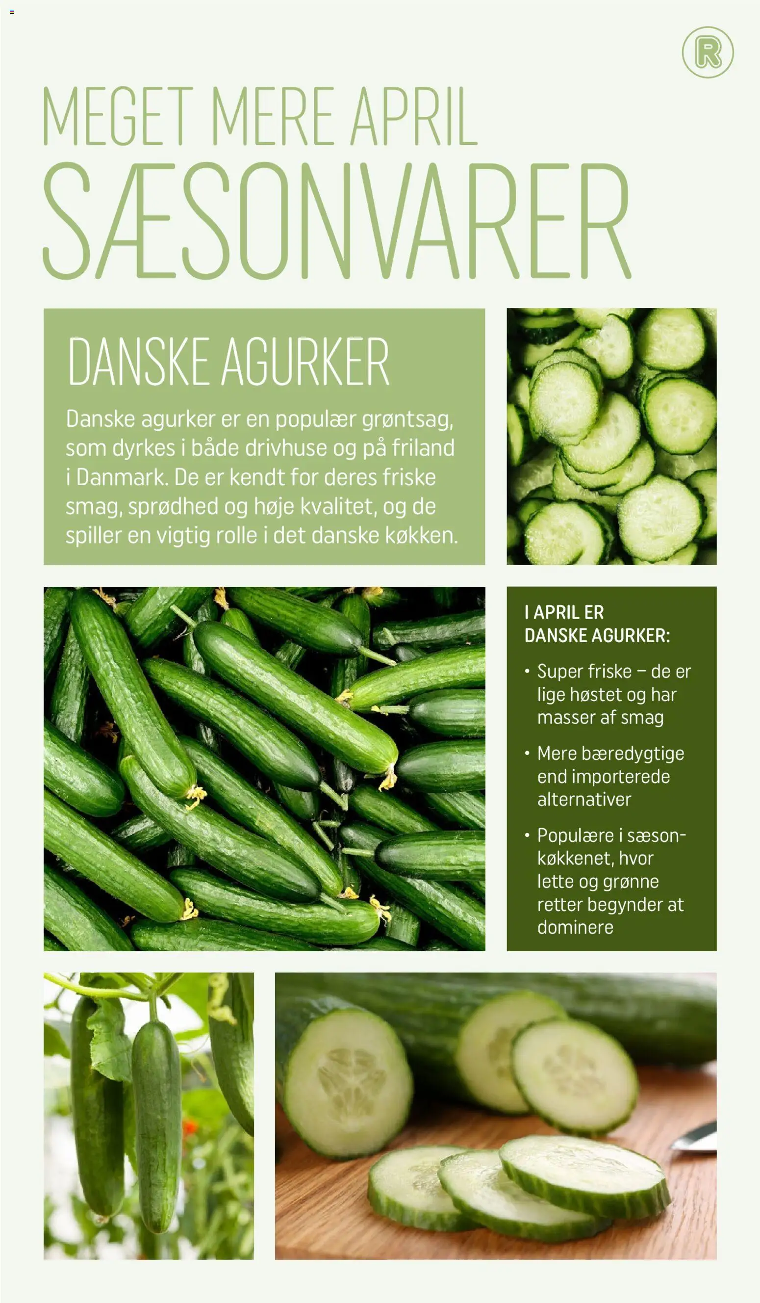 Rema 1000 tilbudsavis – gyldig fra 31.03.2026 | Side: 3 | Produkter: Agurker, Søm