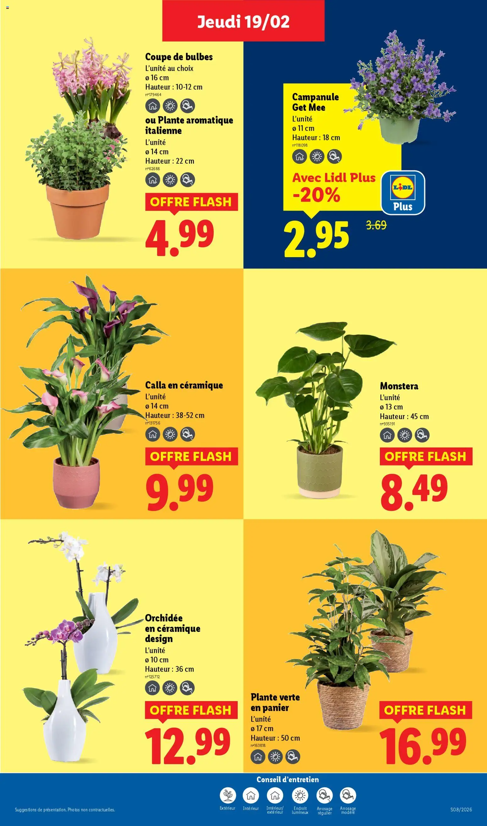 {H1} | Page: 29 | Produits: Plante verte, Orchidée, Panier
