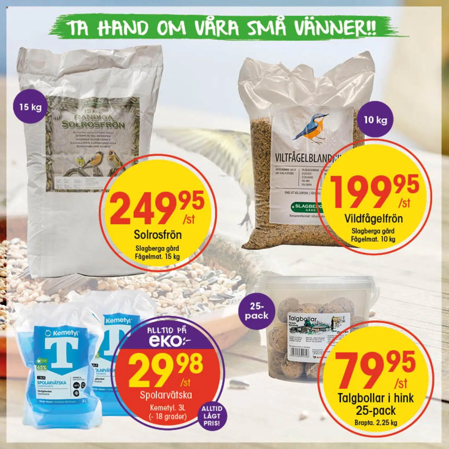 EKO reklamblad aktuell från 29.12.2025 | Sida: 7 | Produkter: Hink, Spolarvätska