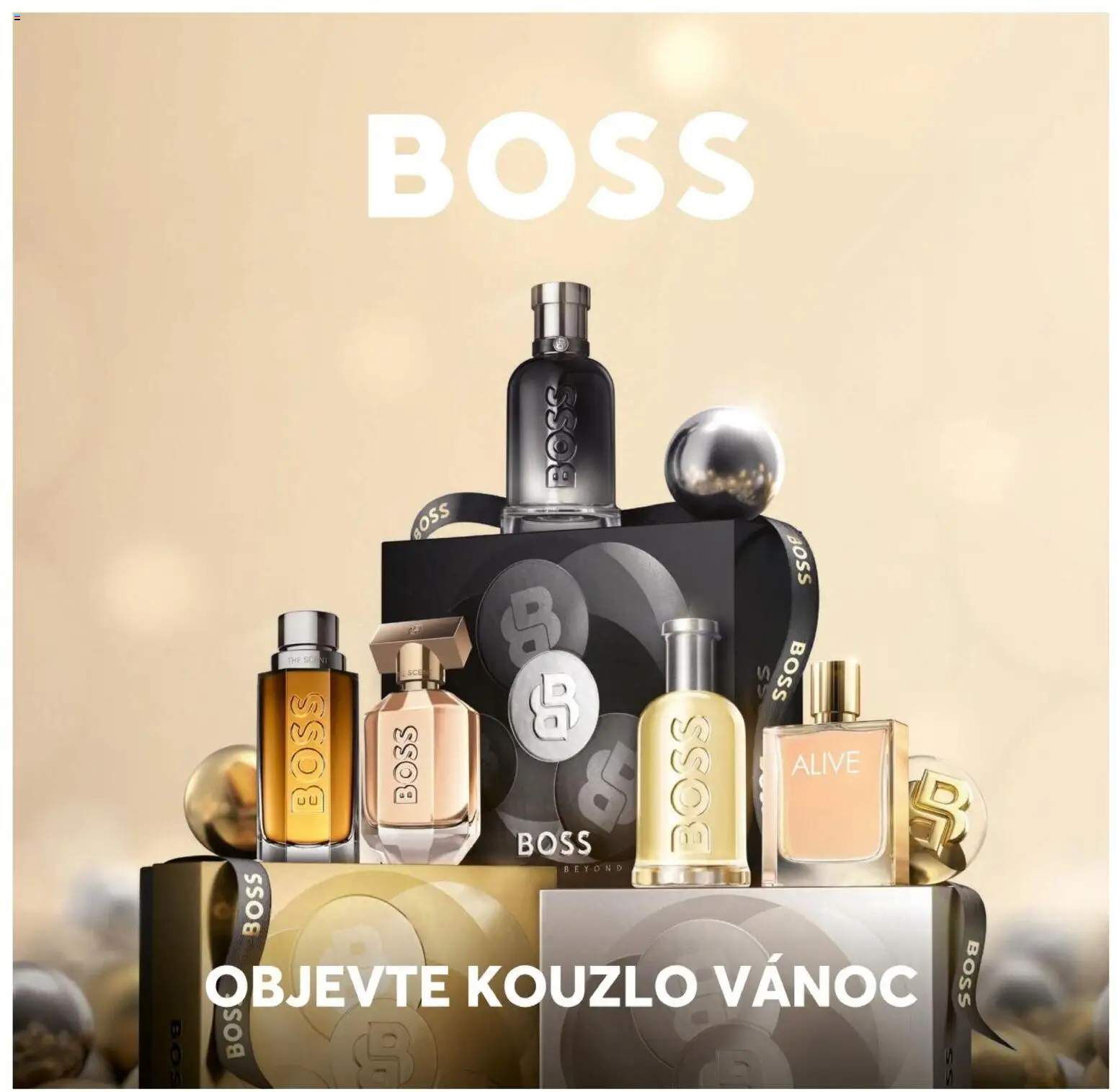 FAnn katalog Vánoce 2025 od 30.10.2025 | Strana: 10