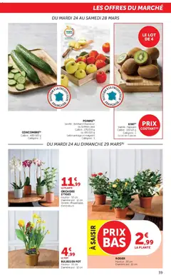 Super U - Prévisualisation de Super U catalogue valide à partir de 24.03.2026 | Page: 39 | Produits: Rosier, Orchidée