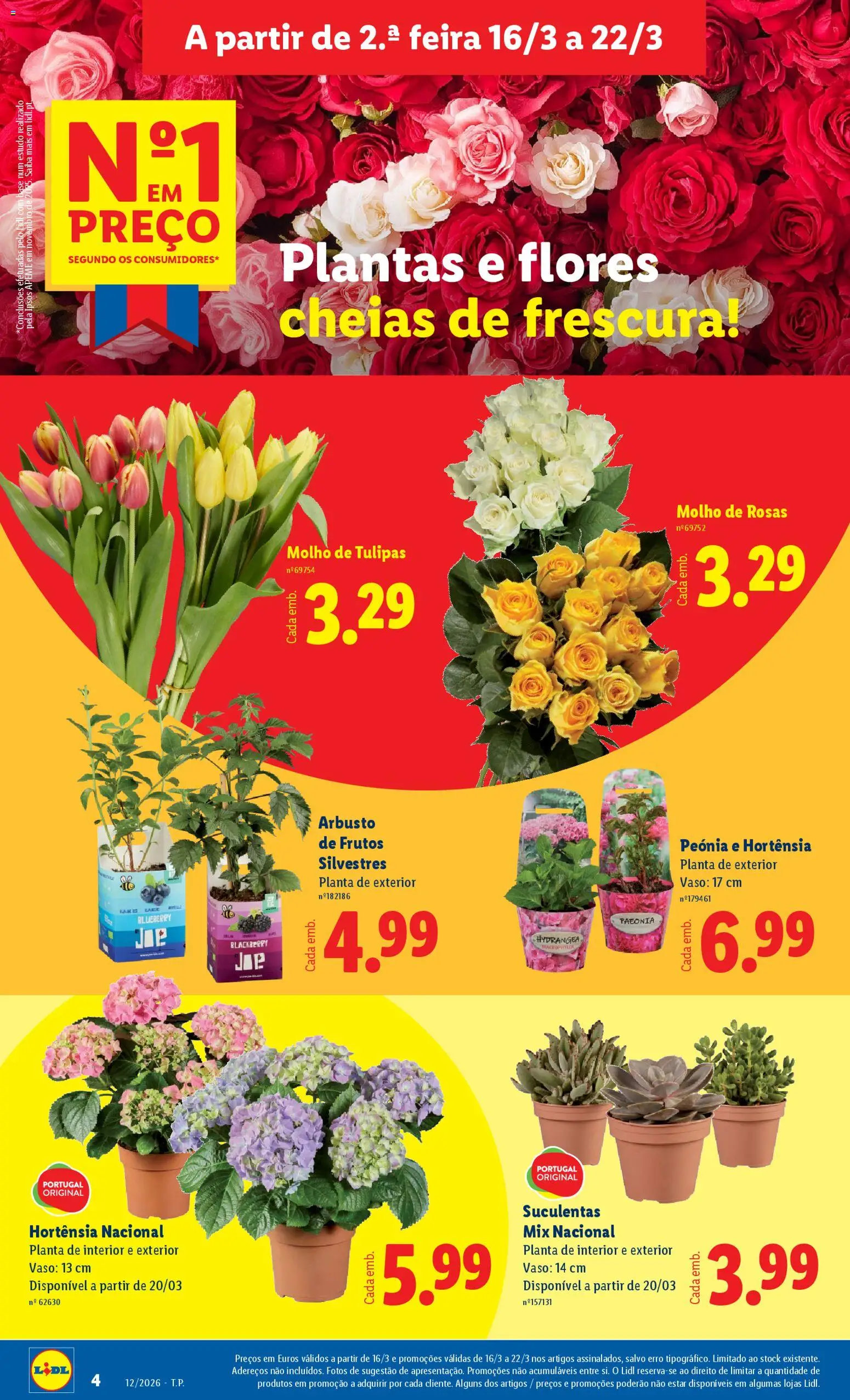 Lidl folheto │ válido de 16.03.2026 | Página: 4 | Produtos: Flores, Base, Vaso