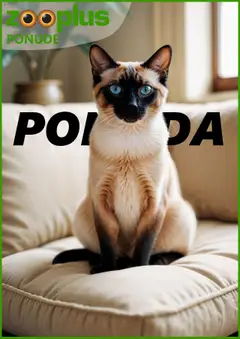 Katalog Zooplus - Pregled kataloga iz trgovine Zooplus, vrijedi od 26.06.2025