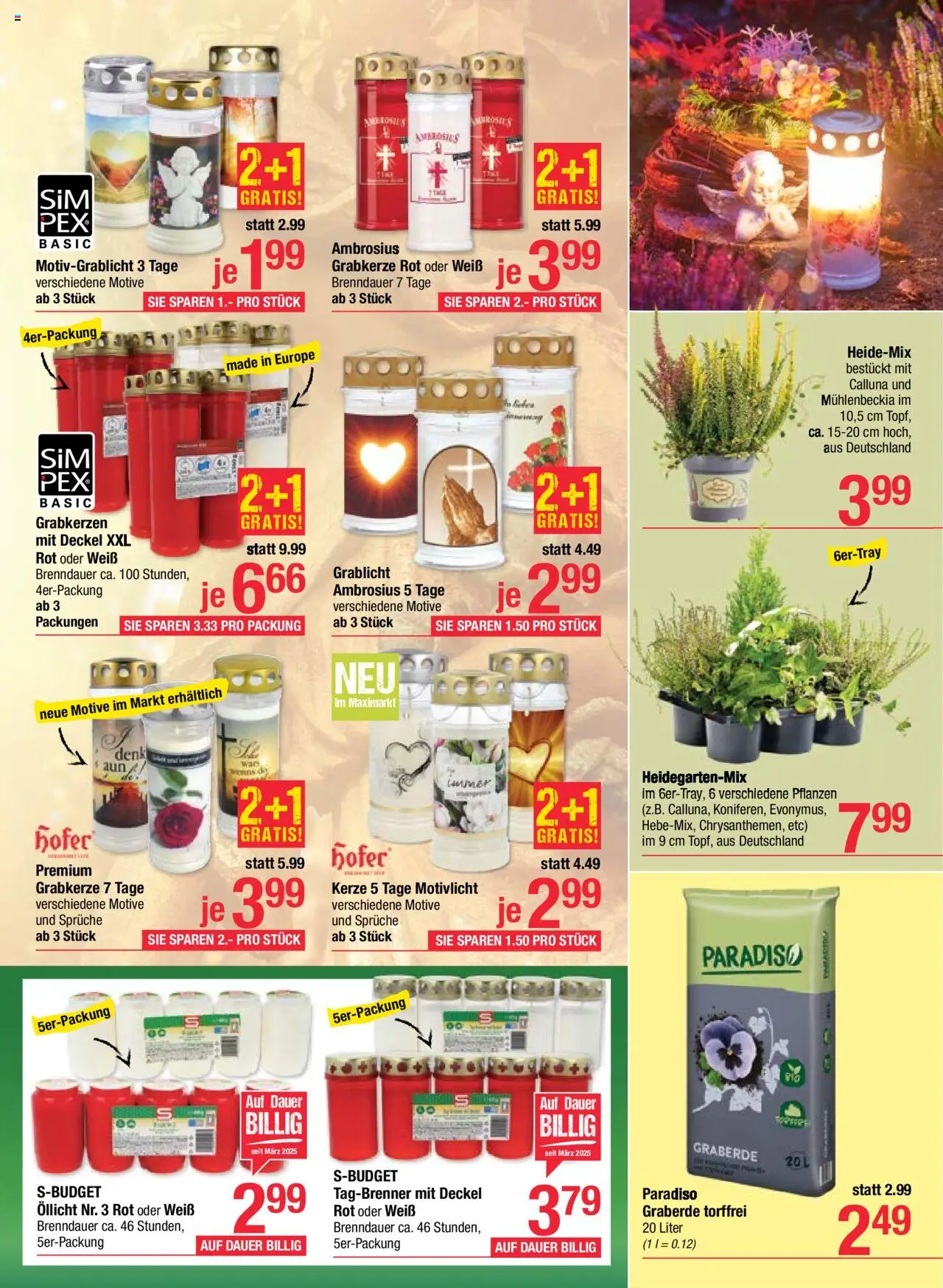 Maximarkt Flugblatt gültig ab 08.09.2025 | Seite: 15 | Produkte: Marhalábszár