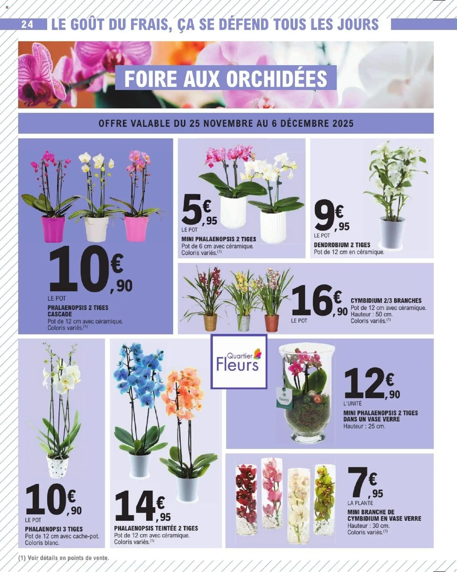 {H1} | Page: 24 | Produits: Vase