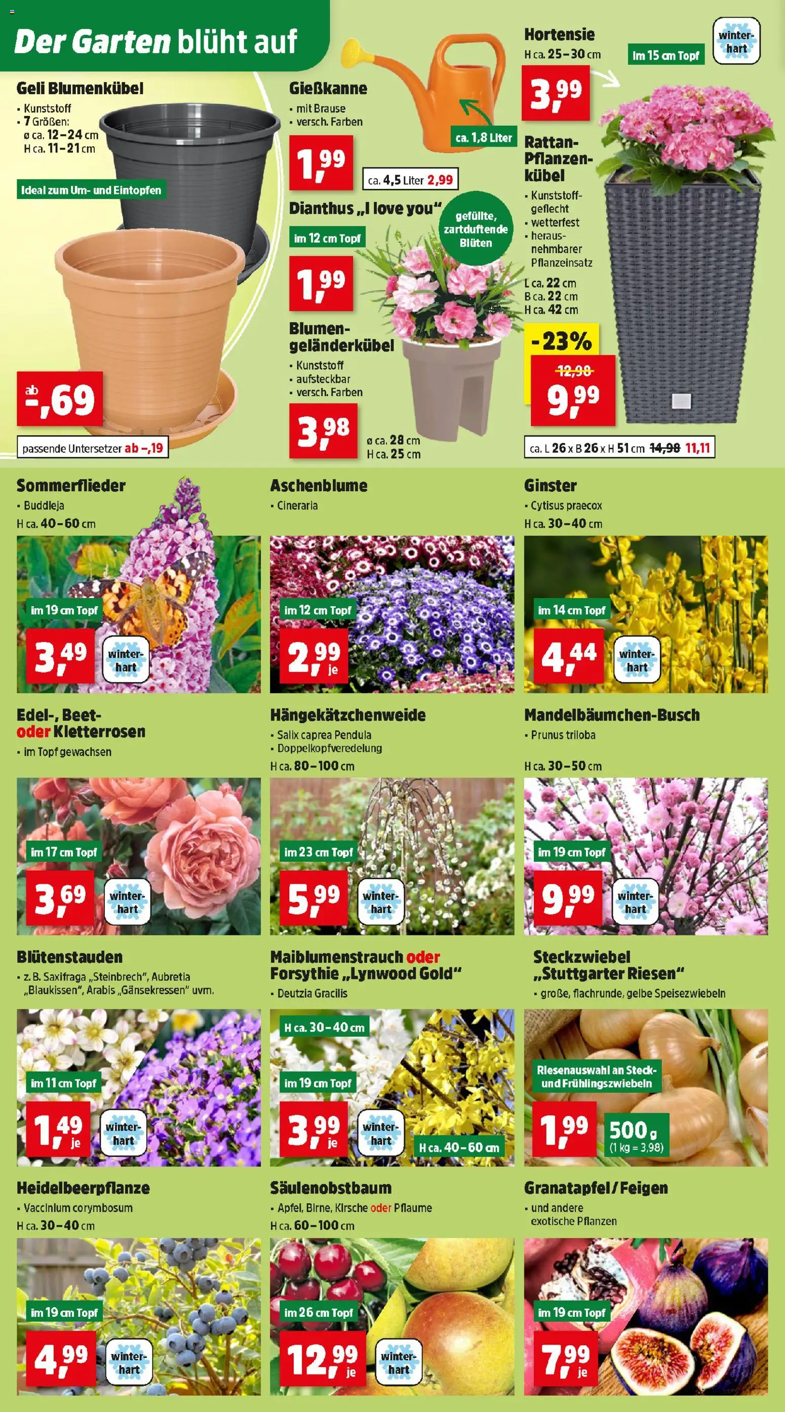 Thomas Philipps Flugblatt gültig ab 16.03.2026 | Seite: 4