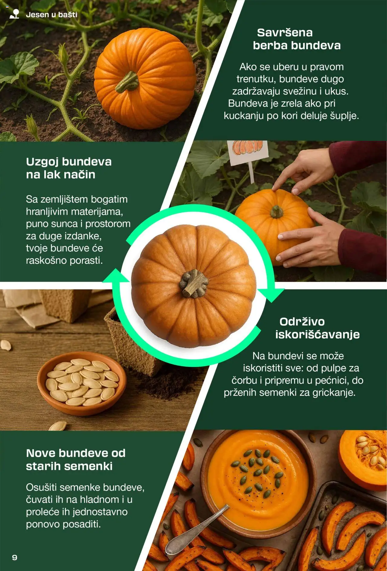 Lidl katalog - važi od 03.09.2025 | Strana: 9 | Proizvode: Bundeva