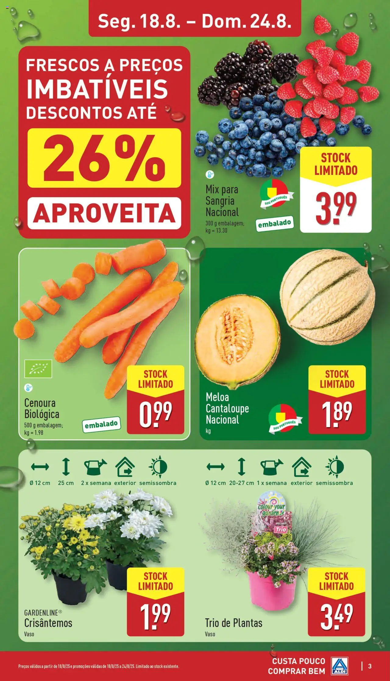 Aldi folheto │ válido de 18.08.2025 | Página: 3 | Produtos: Vaso, Cenoura