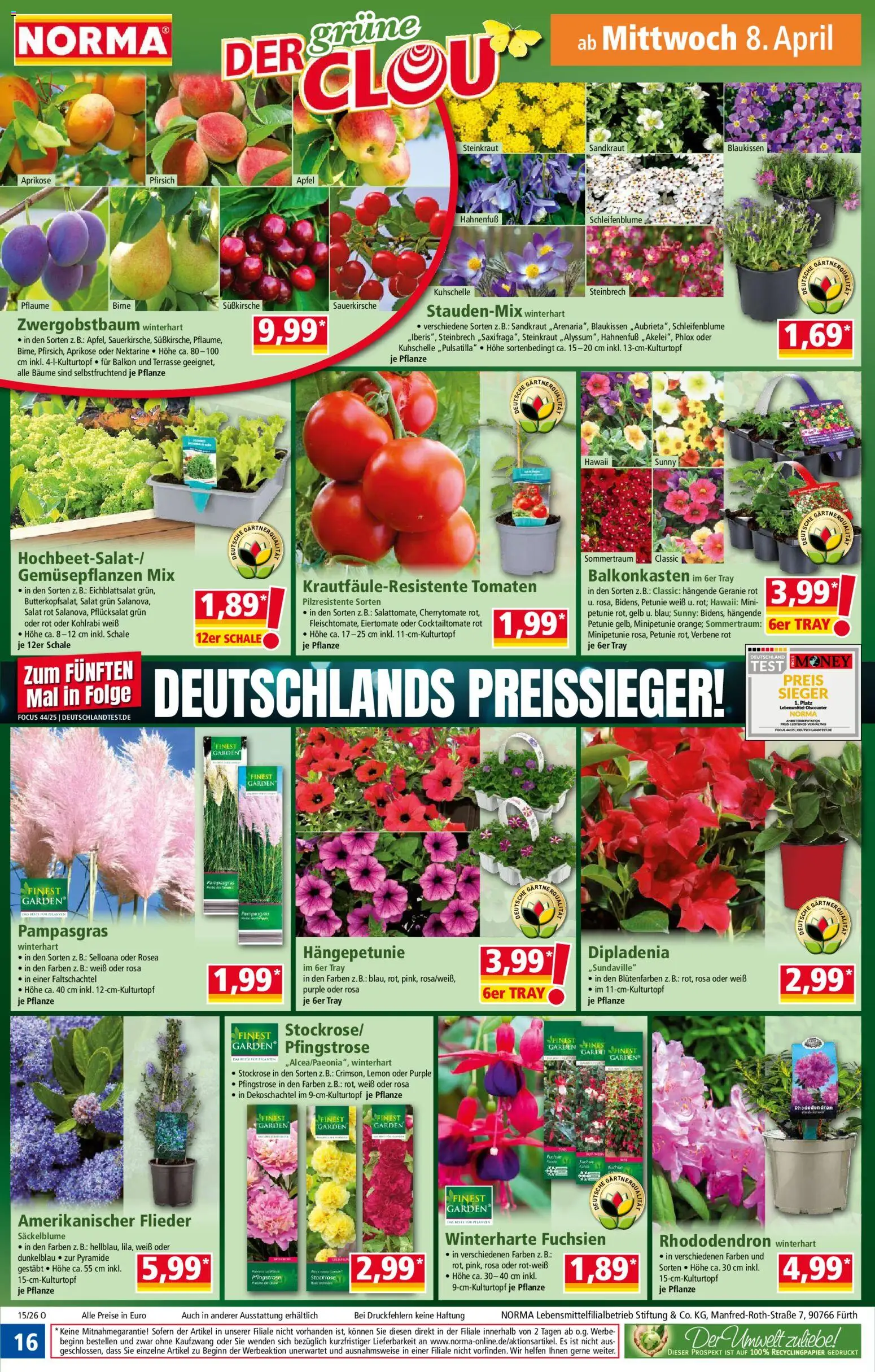 Norma Prospekt 	 – gültig ab 07.04.2026 | Seite: 16 | Produkte: Äpfel, Tomaten, Pfirsich, Birne