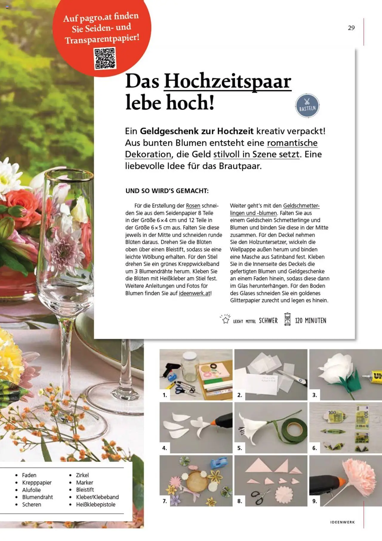 Pagro-Diskont Flugblatt gültig ab 08.05.2025 | Seite: 29