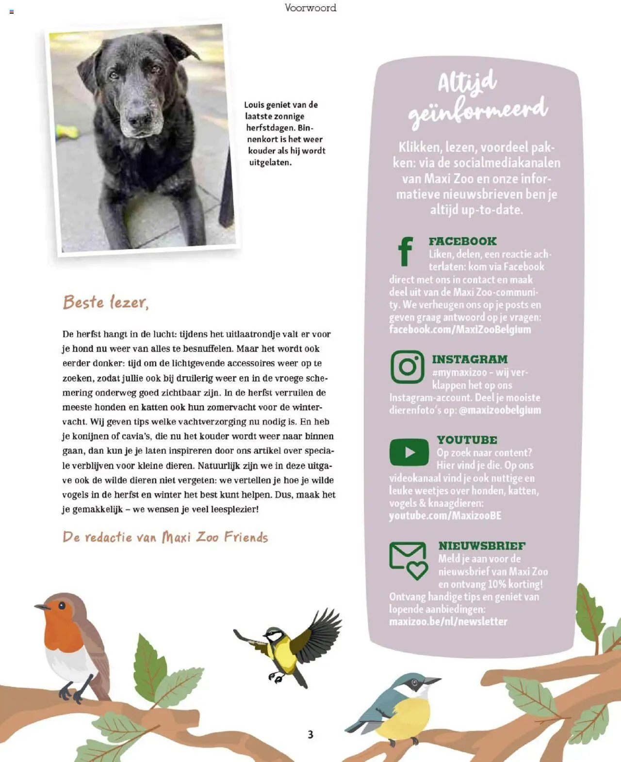 {H1} | Pagina: 3 | Producten: Kom