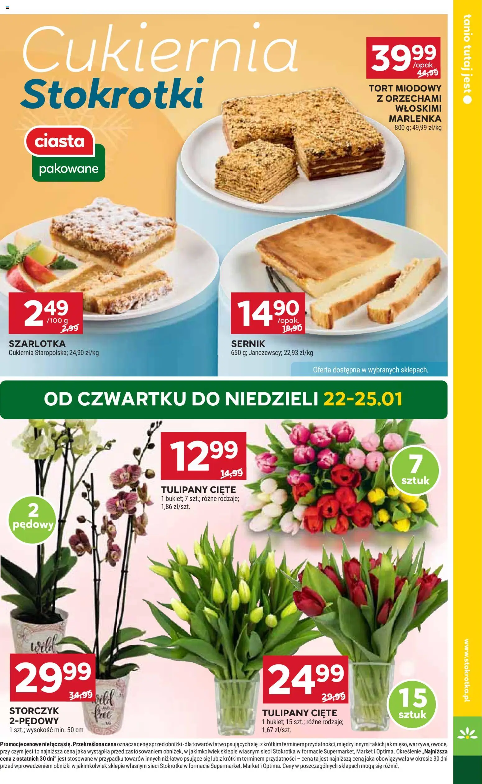 Stokrotka Gazetka - Market od 22.01.2026 | Strona: 5 | Produkty: Stokrotka, Tort, Storczyk, Tulipany