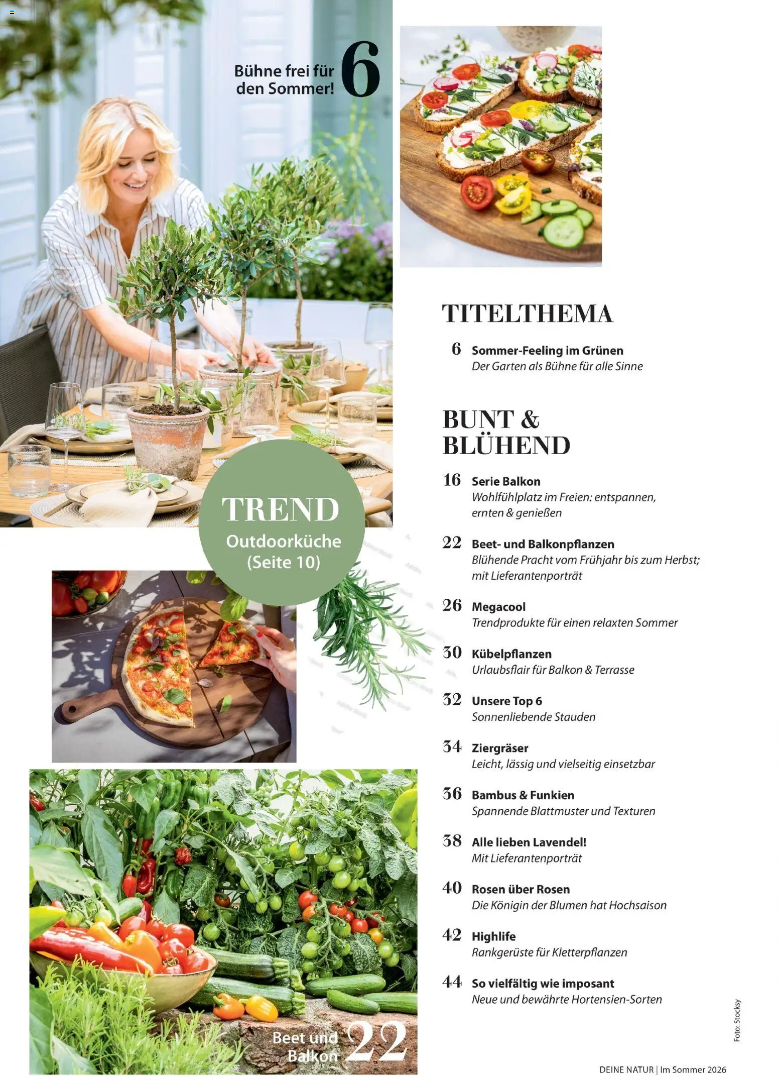 Dehner Prospekt 	 – gültig ab 17.04.2026 | Seite: 4 | Produkte: Top, Blumen, Lavendel