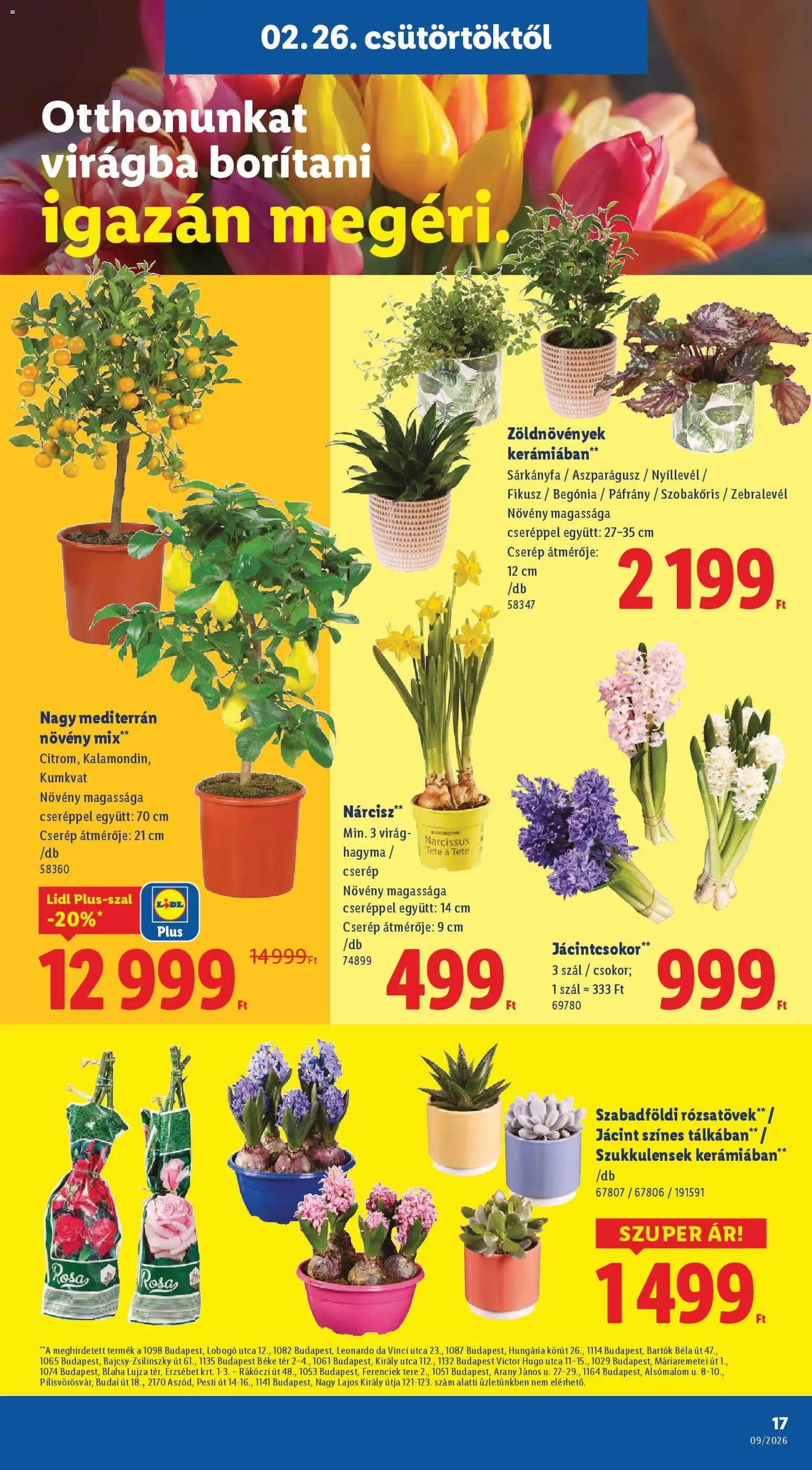 Lidl akciós ujság - amely érvényes a következő dátumtól: 26.02.2026 | Oldal: 17 | Termékek: Virag, Hagyma