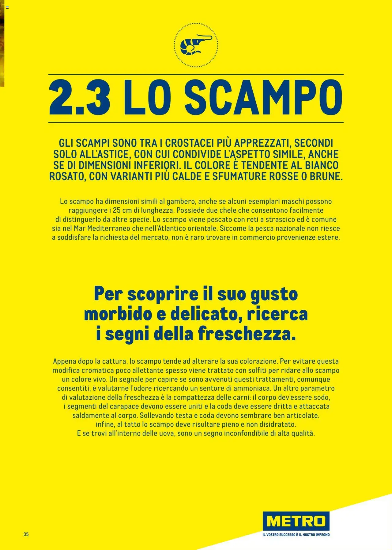 Volantino Metro del 30.06.2025 | Pagina: 35 | Prodotti: Pesca, Metro