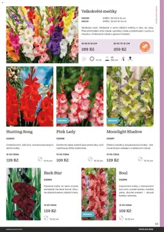 Náhled letáku Starkl katalog od 25.02.2026 | Strana: 83 | Produkty: Květiny, Cibule, Pink Lady