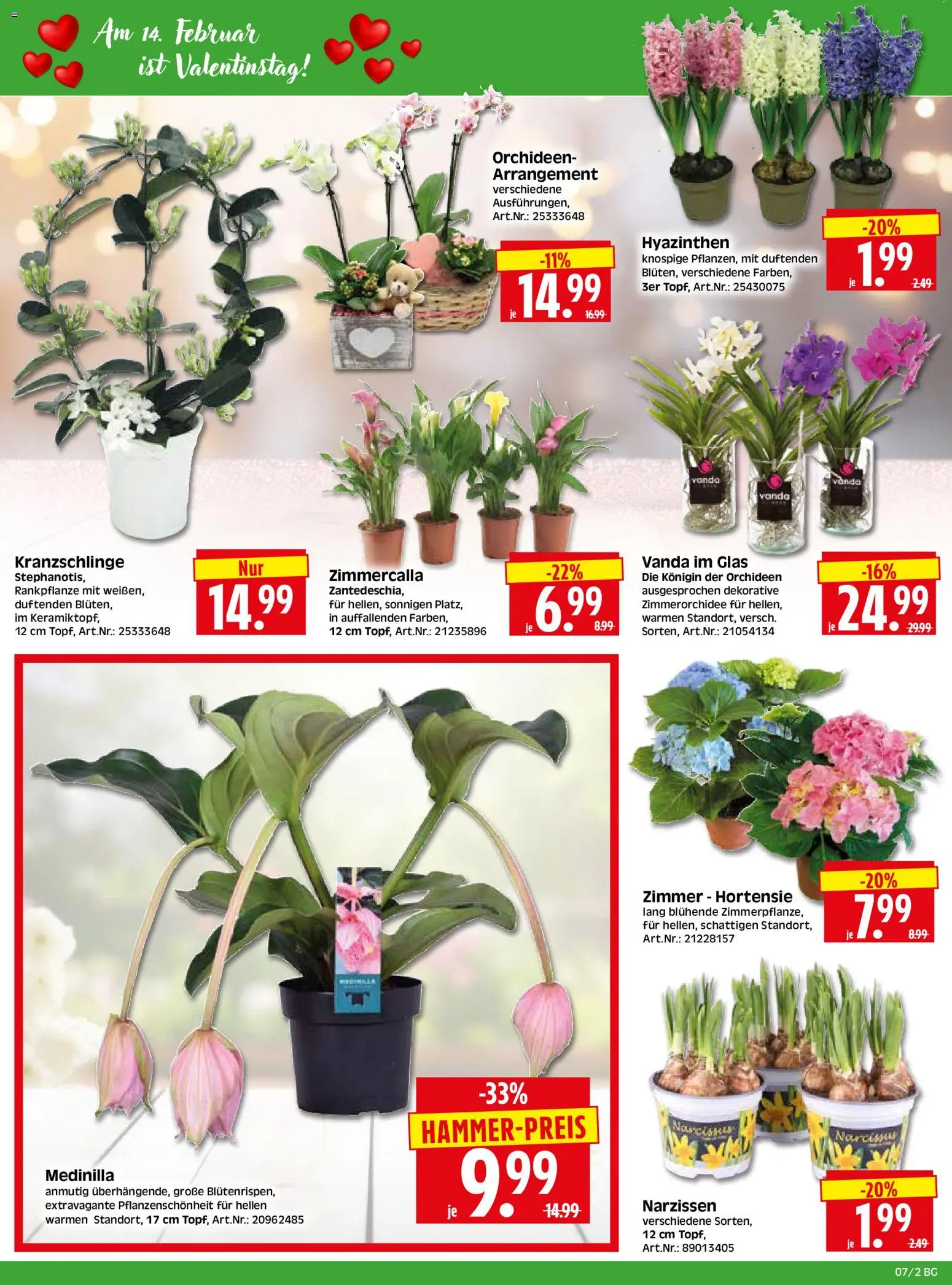 HERKULES Bau & Garten – gültig ab 09.02.2026 | Seite: 2