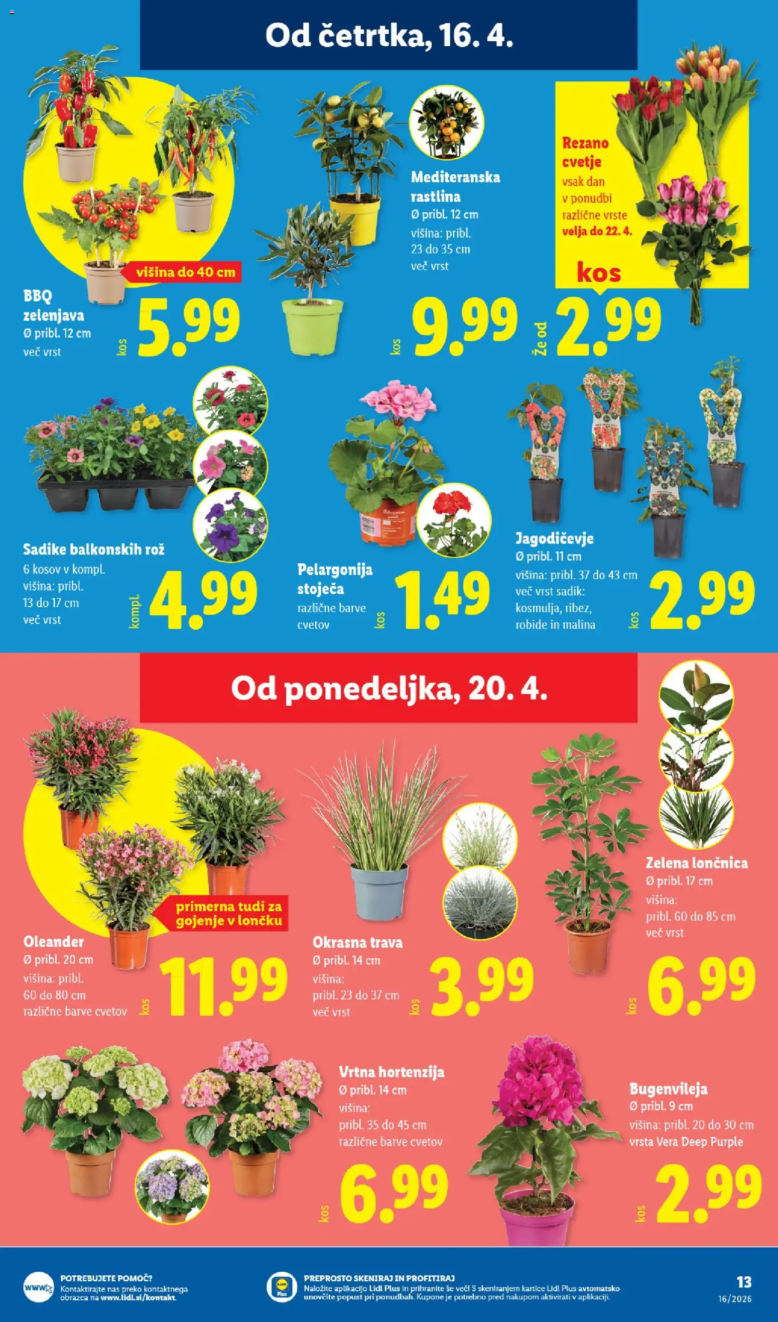 Novi Lidl katalog ponudbe – veljaven od 16.04.2026 | Stran: 31