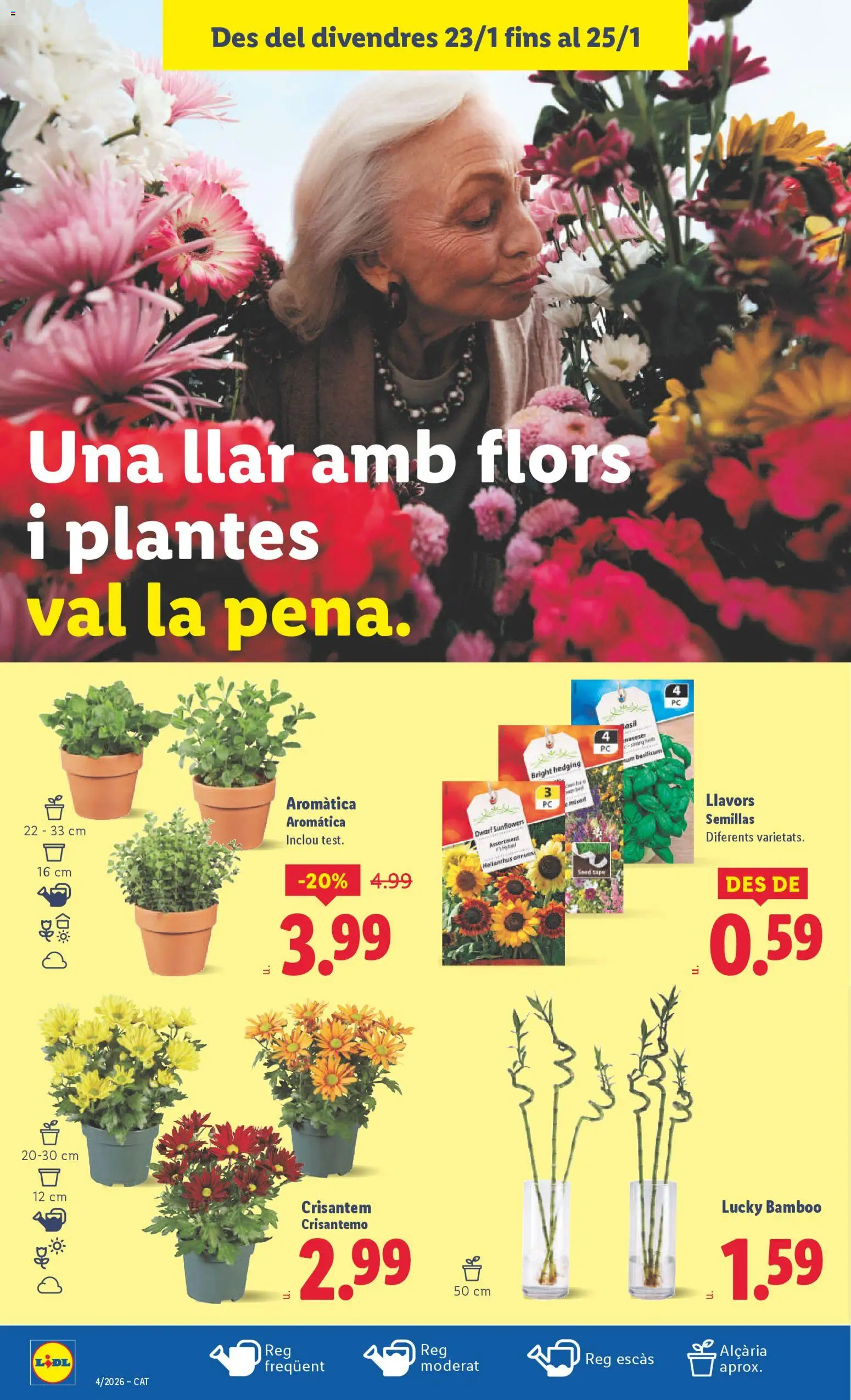 Lidl folleto │ válido desde el 19.01.2026 | Página: 40
