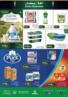 Preview of Istanbul Supermarket offers valid from 05.02.2026 | Page: 8 | Products: Pivo, Vajcia, Котлон