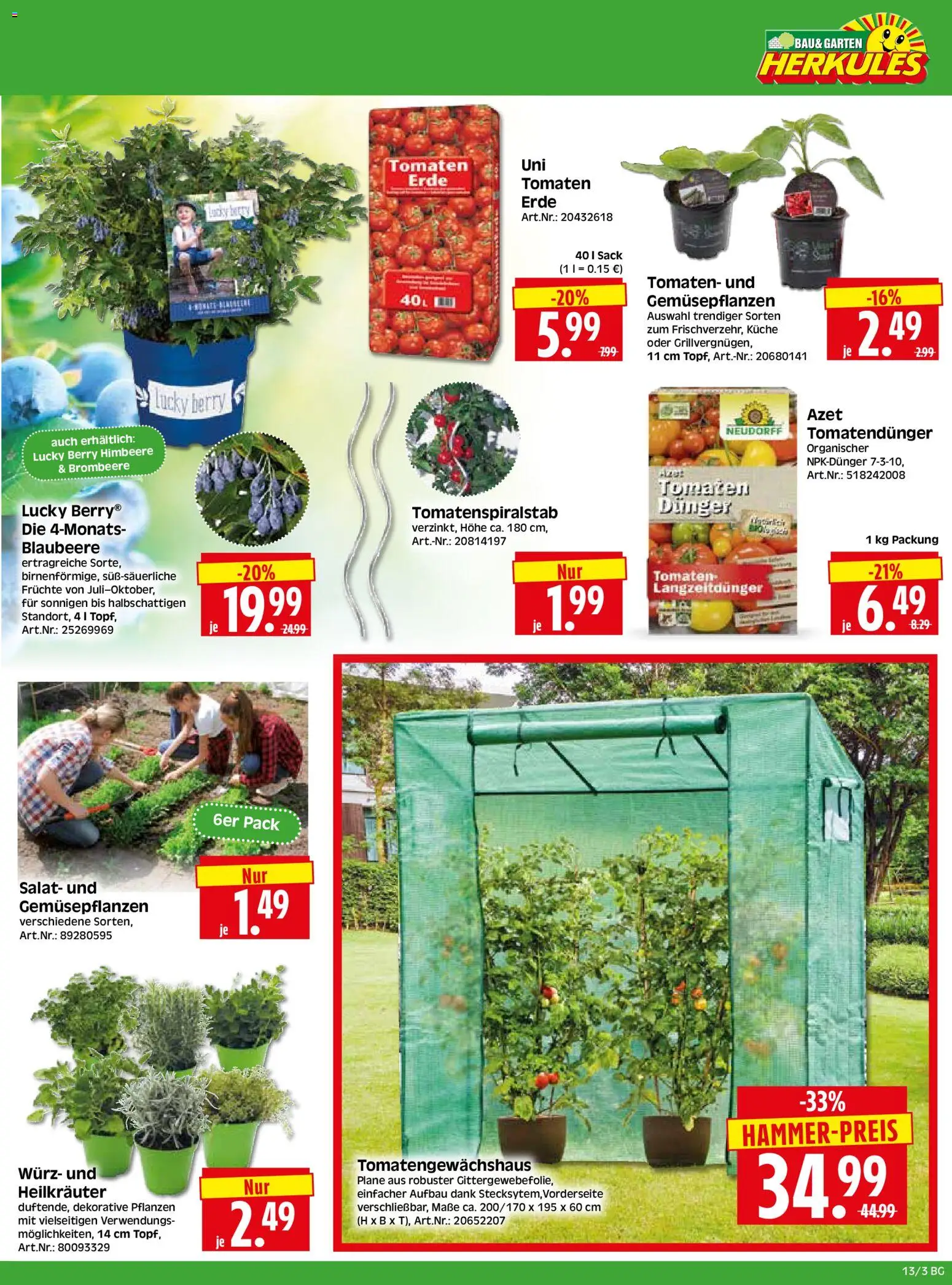 HERKULES Bau & Garten – gültig ab 23.03.2026 | Seite: 3 | Produkte: Küche, Tomaten, Himbeere, Salat
