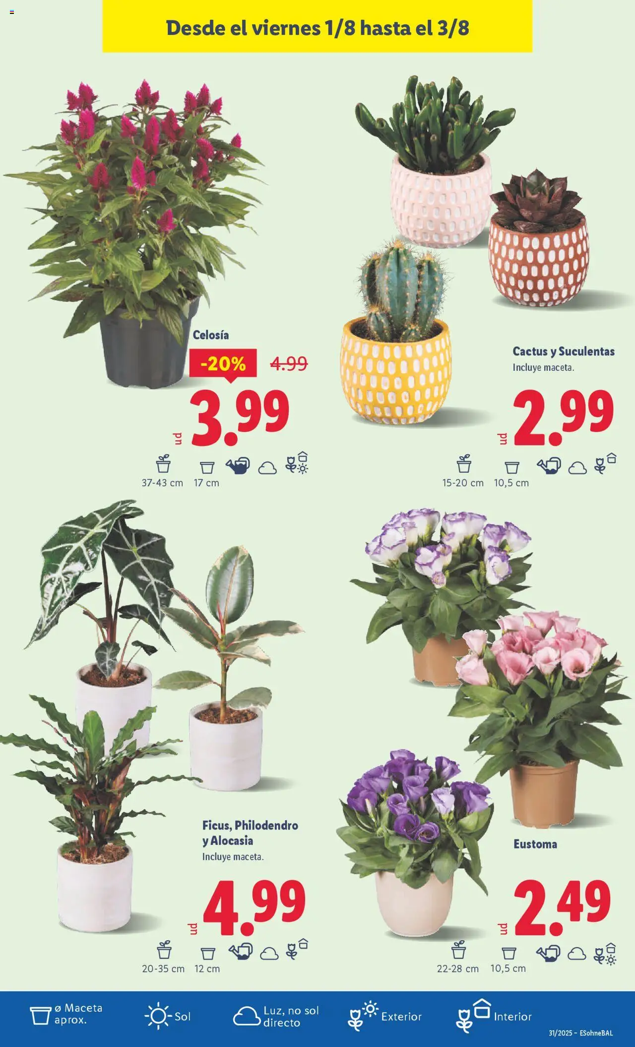 Lidl catálogo MAD │ válido desde el 28.07.2025 | Página: 27 | Productos: Maceta