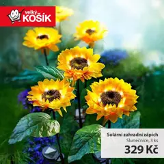Velký Košík nabídka od 01.08.2025 | Strana: 6 | Produkty: Zápich, Košík