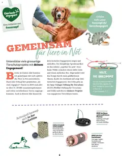 Fressnapf Magazin – gültig ab 01.09.2025 | Seite: 8 | Produkte: Spiel