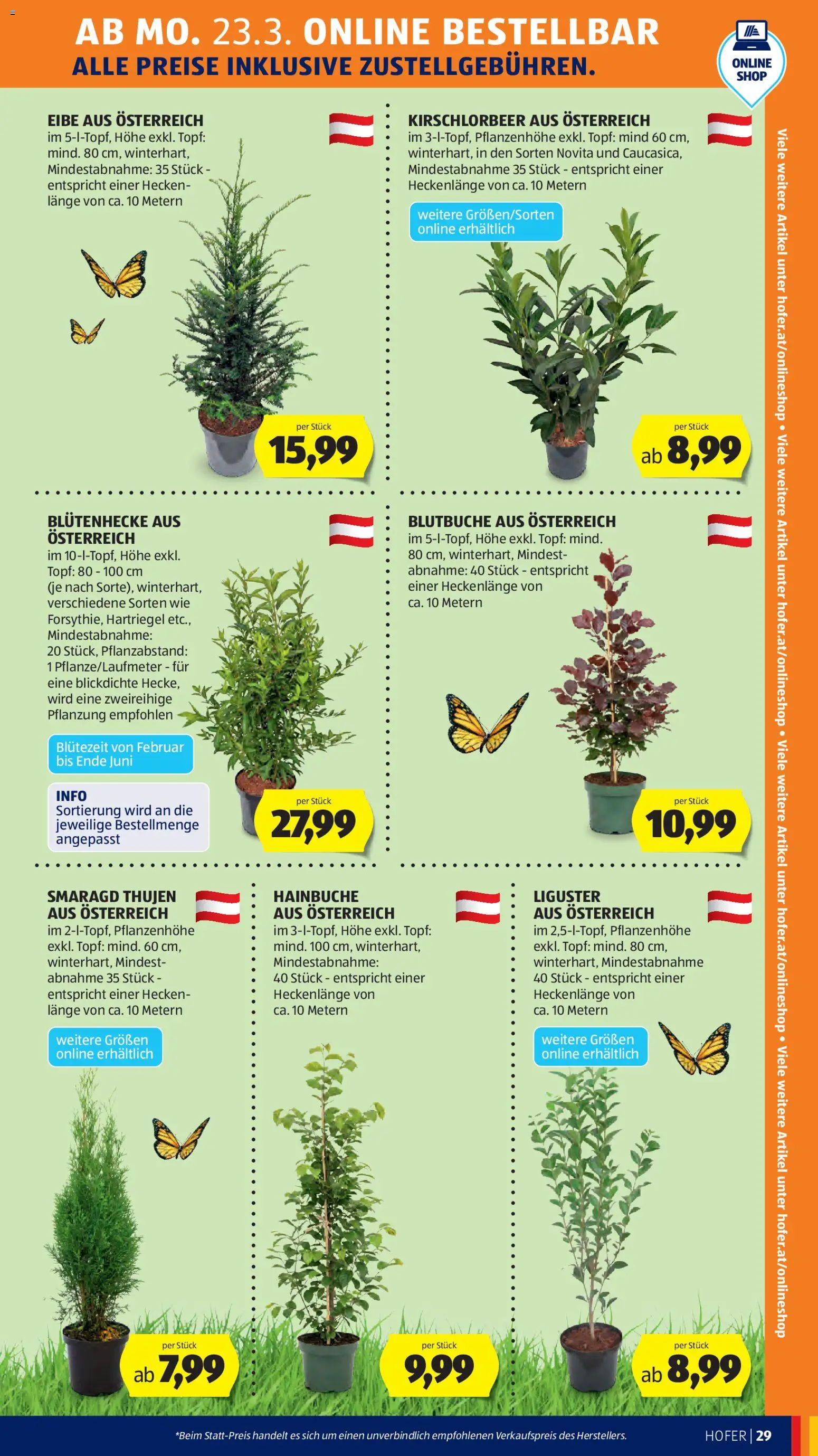 Hofer AT Akciós Újság 2026.03.20.-tól/töl - fantasztikus ajánlatokat! 🛍️ | Magyarország