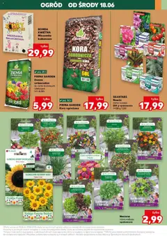 Kaufland gazetka - Mega okazje od 18.06.2025 | Strona: 25 | Produkty: Chili, Papryka, Bazylia, Nasiona