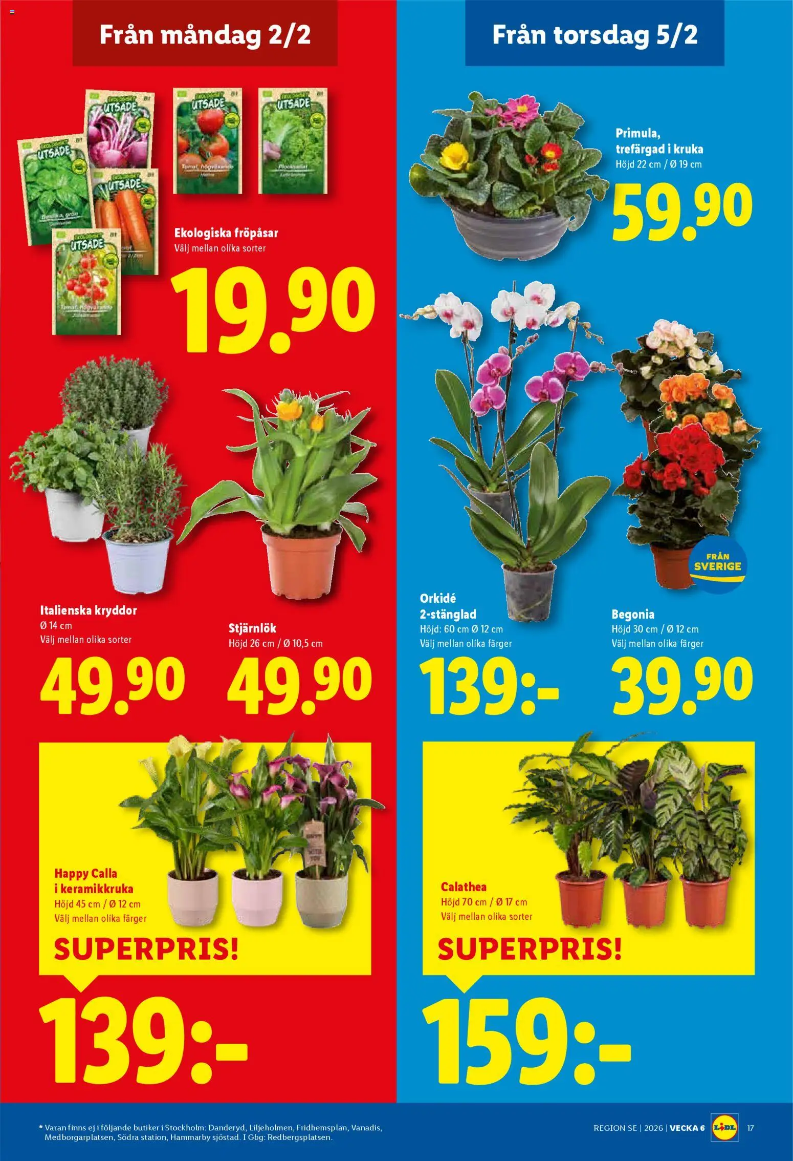 Lidl reklamblad aktuell från 02.02.2026 | Sida: 20 | Produkter: Keramikkruka, Kruka