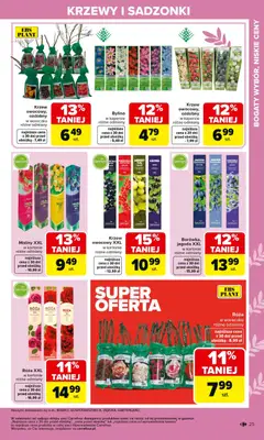 Pogląd oferty "Carrefour gazetka - Ogród" - ważna od 02.03.2026 | Strona: 25 | Produkty: Malina, Maliny, Porzeczka, Agrest