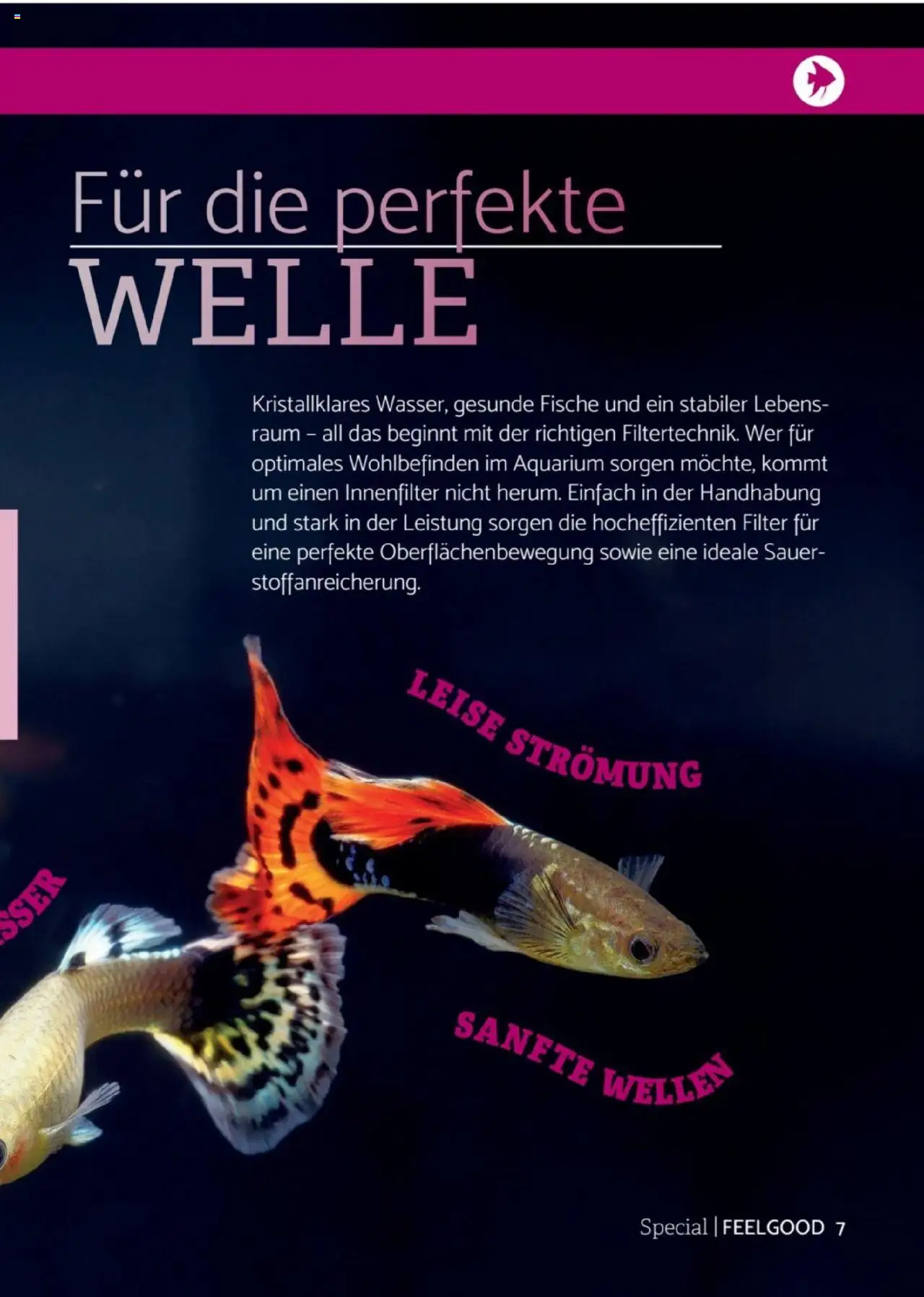 zookauf Heimtier Journal Special – gültig ab 01.09.2025 | Seite: 7