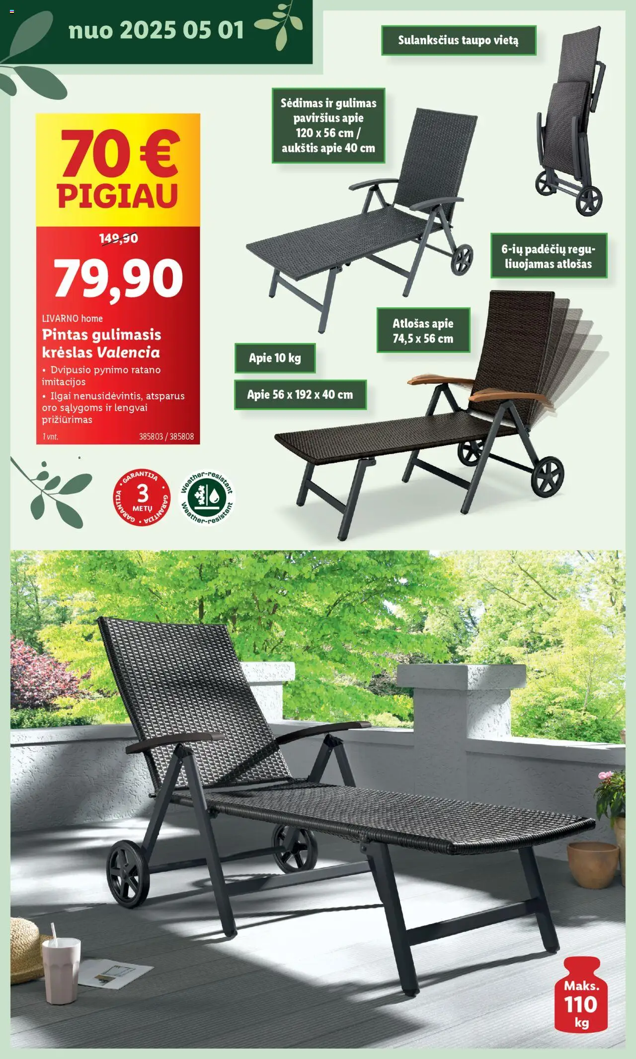 LIDL leidinys - Švenčiame sodą│galioja nuo 12.05.2025 | Puslapis: 36