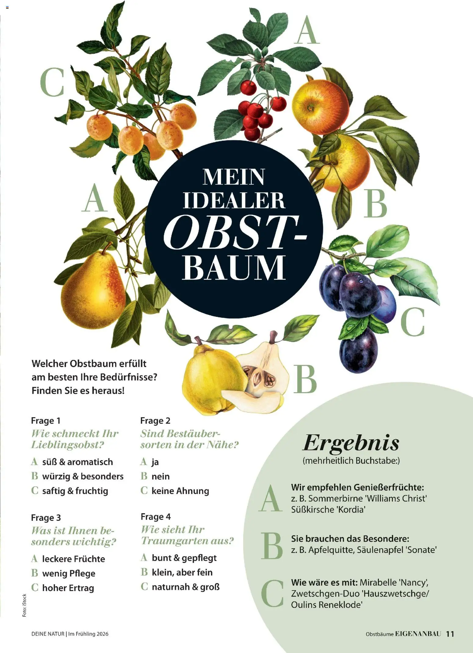 Dehner Flugblatt gültig ab 05.03.2026 | Seite: 11 | Produkte: Obst