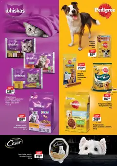DIS katalog - pregled DIS kataloga - važi od 21.12.2025 | Strana: 23 | Proizvode: Pedigree, Whiskas