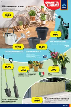 Volantino Aldi del 04.08.2025 | Pagina: 23 | Prodotti: Annaffiatoio, Scaffale, Cactus, Vaso