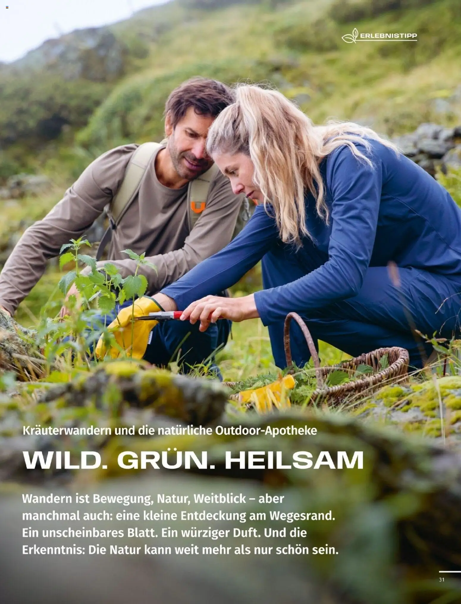 Sport2000 Prospekt Frühjahr 2026 – gültig ab 12.04.2026 | Seite: 31