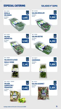 Pré-visualização Makro Especial Catering válido de 15.04.2026 | Página: 31 | Produtos: Rúcula, Saladas, Salada, Alface