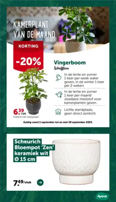  | Pagina: 8 | Producten: Kamerplanten, Keramiek