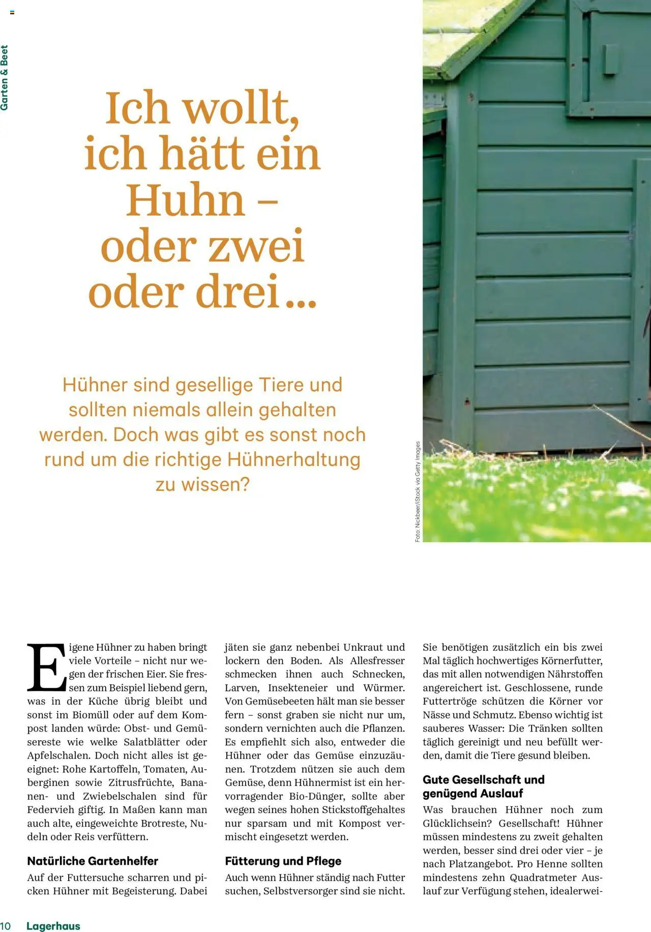 Lagerhaus Fürs Leben am Land Magazin gültig ab 28.04.2025 | Seite: 10 | Produkte: Wasser, Gemüse, Obst, Reis
