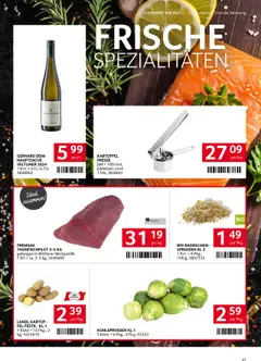 Transgourmet Flugblatt gültig ab 22.09.2025 | Seite: 25 | Produkte: Presse