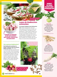 Billa Frisch Gekocht Kids ab 01.03.2026 gültig | Seite: 8 | Produkte: Libacomb