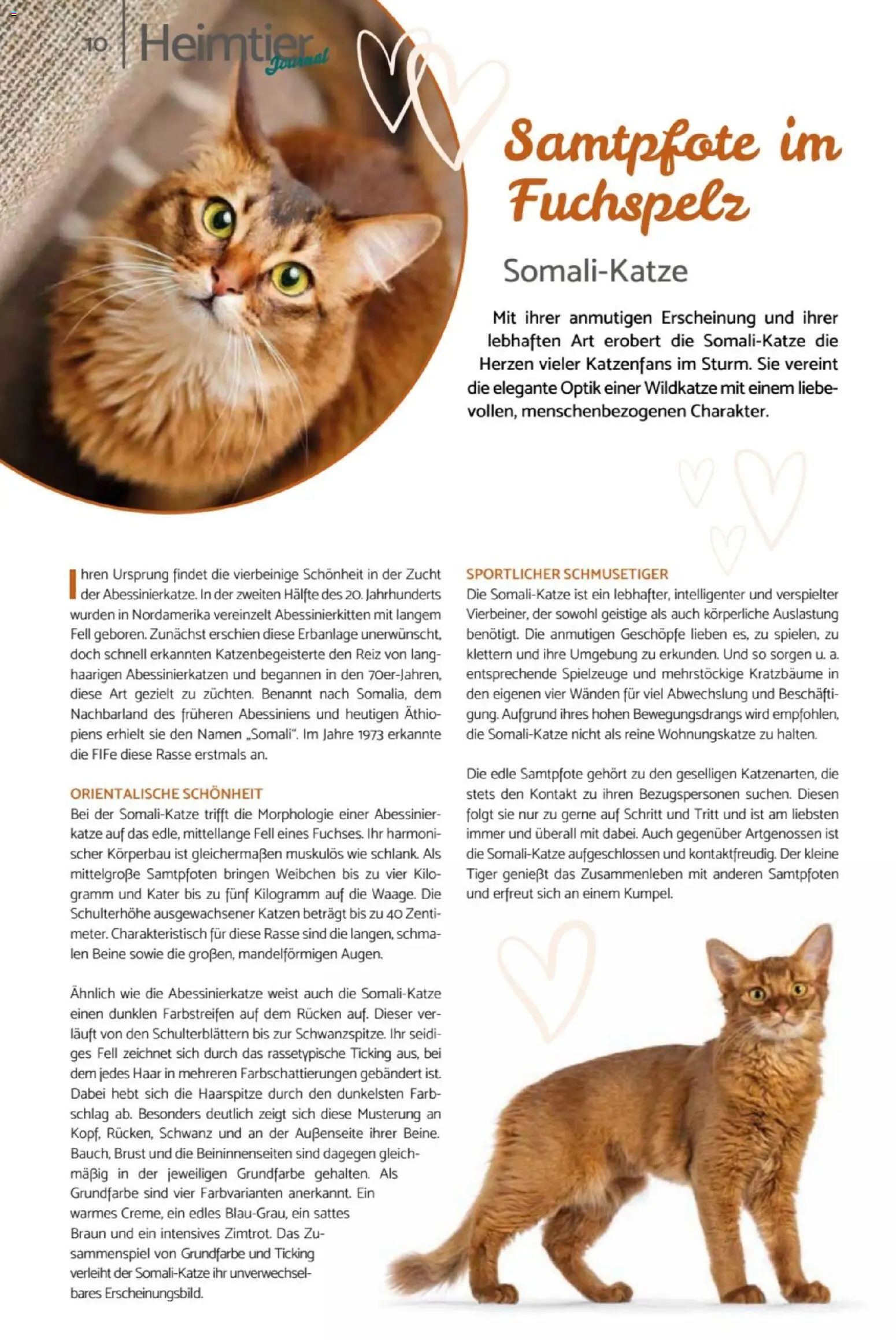 zookauf  Heimtier Journal – gültig ab 01.02.2026 | Seite: 10