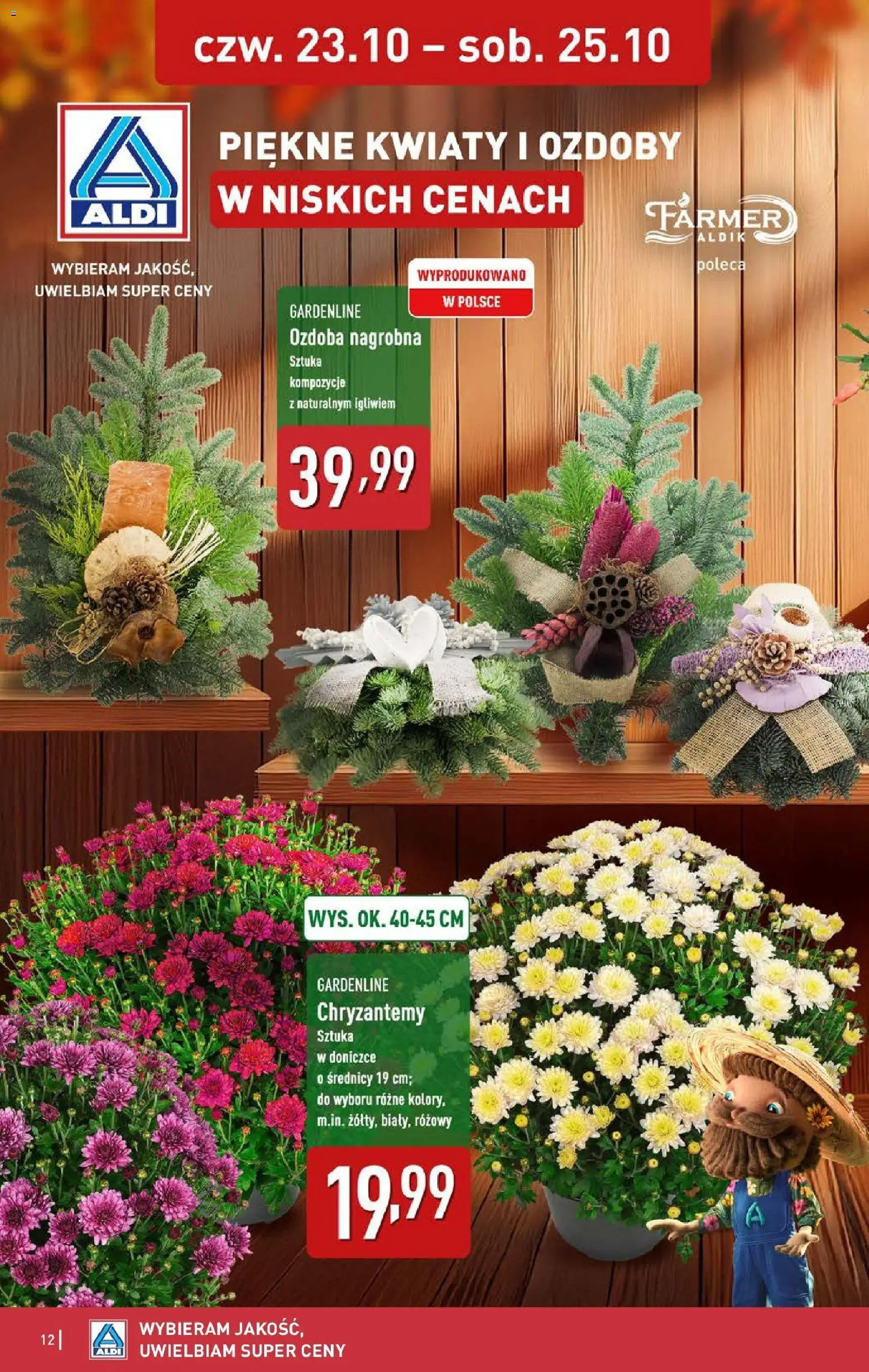 Aldi - Dodatkowe promocje na weekend w ALDI od 22.10.2025 | Strona: 12 | Produkty: Chryzantemy, Kwiaty