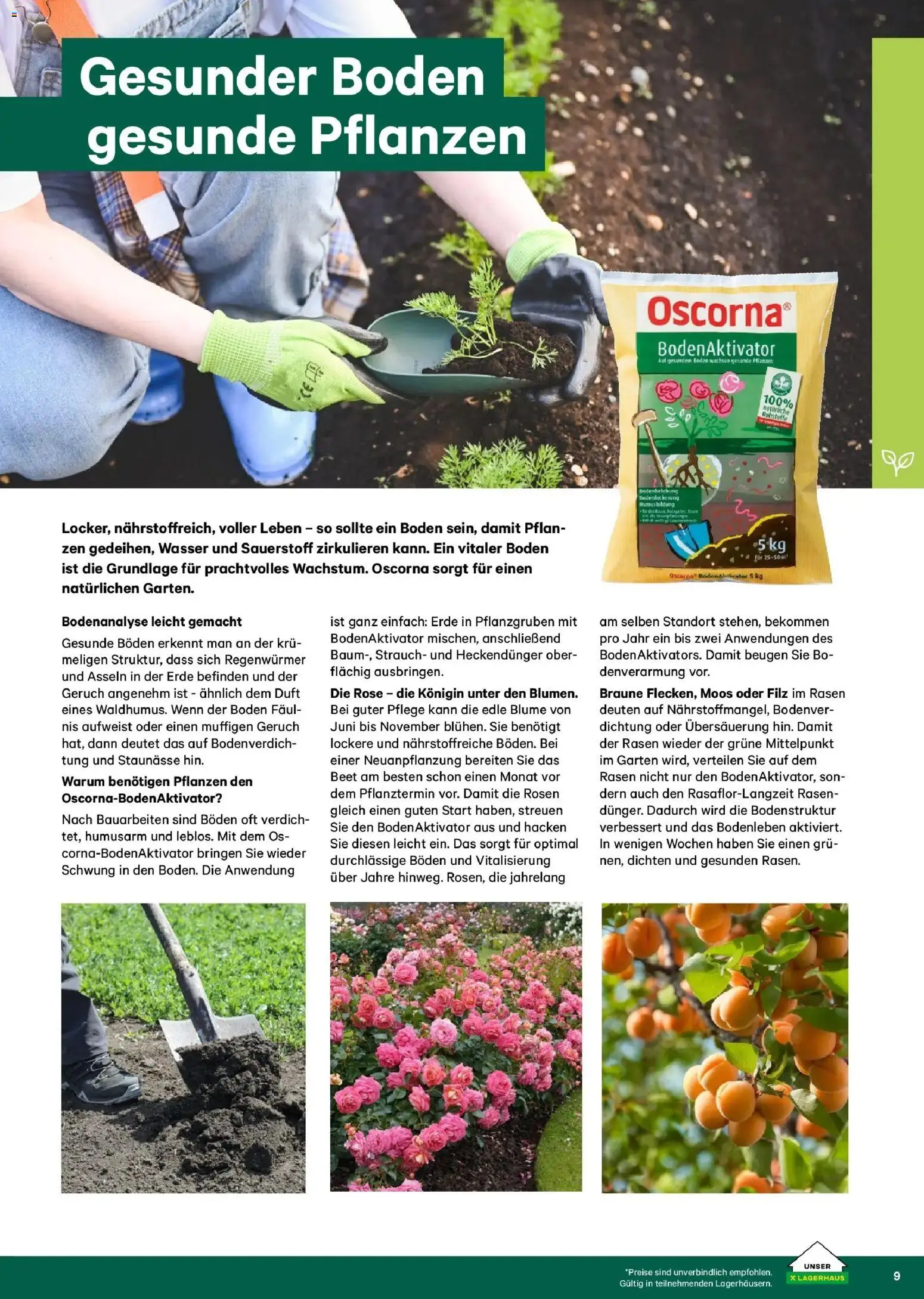 Lagerhaus - Lagerhaus - Garten & Freizeit Katalog 2026 gültig ab 01.03.2026 | Seite: 9