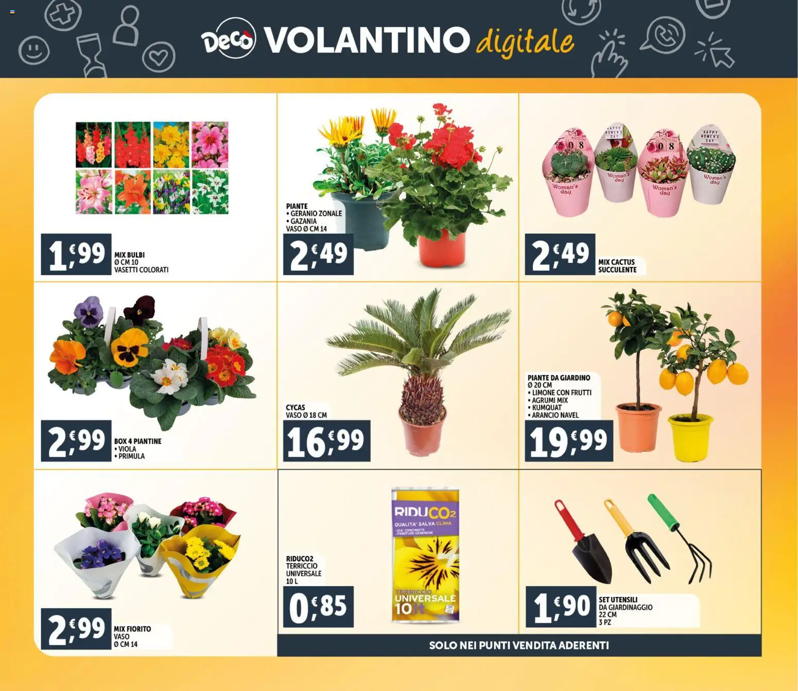 Volantino Decò del 06.03.2026 | Pagina: 30 | Prodotti: Agrumi, Cactus, Terriccio, Vaso