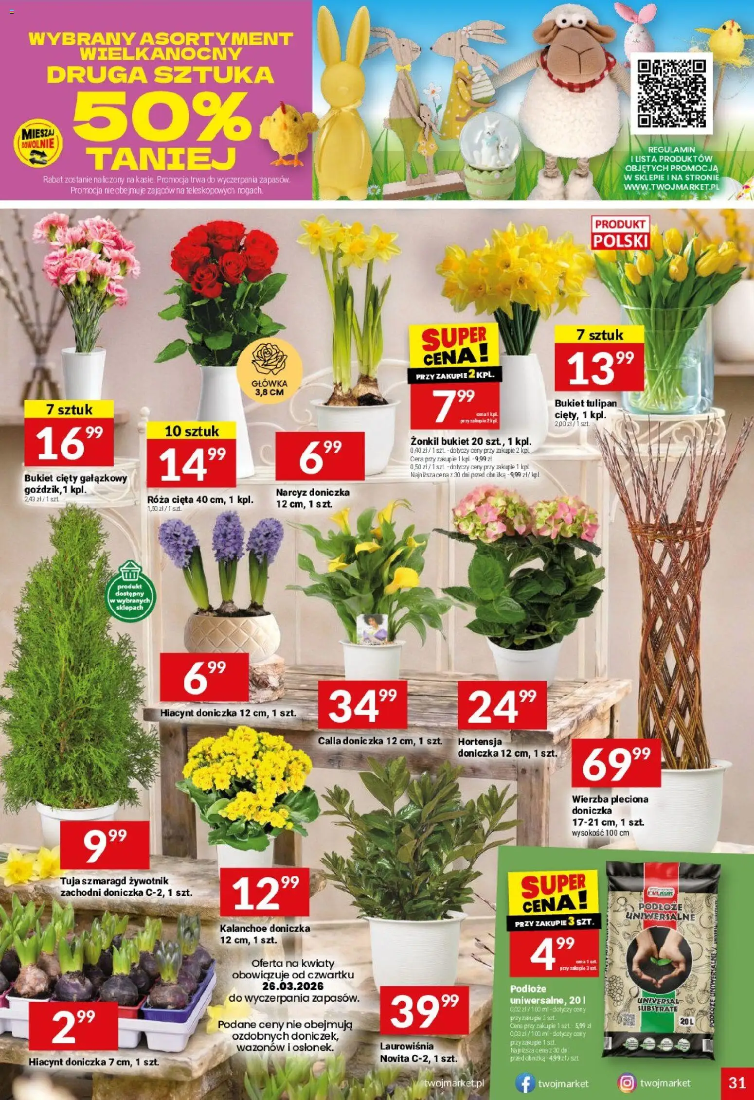 Twój Market gazetka od 25.03.2026 | Strona: 31 | Produkty: Doniczka, Kalanchoe, Kwiaty