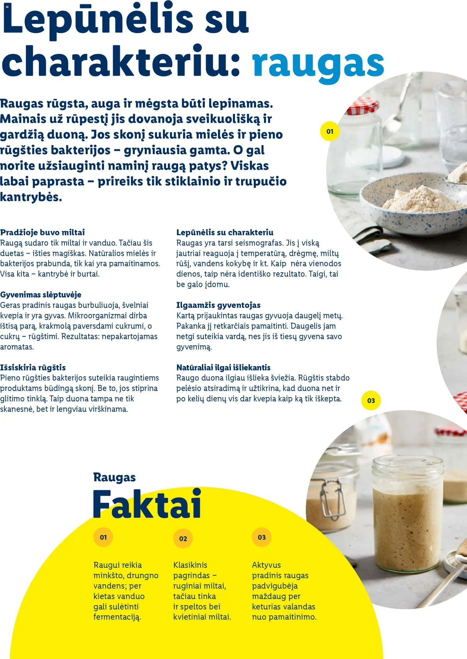 LIDL akcijos nuo 01.03.2026 | Puslapis: 60 | Prekių: Indai, Bandelės, Stalas, Pyragas